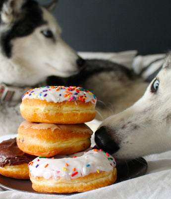 Baked Dog Treats