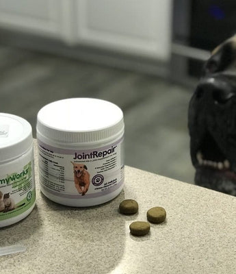 Dog Vitamins & Supplements