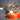 Cat Food