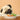 Dog Food