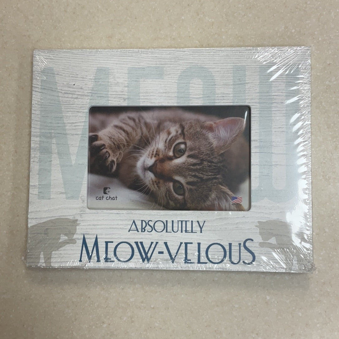 Frame - Absolutely Meow-Velous-7x9