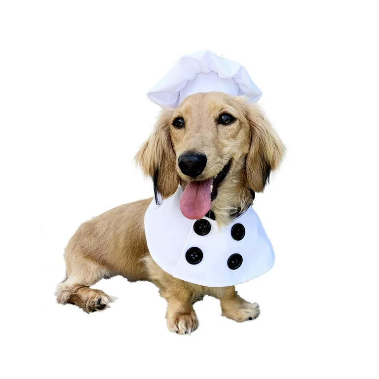 Pet Krewe Chef Uniform Dog Costume