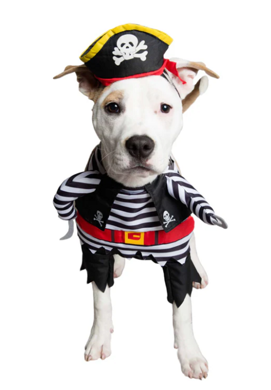 Pet Krewe Pirate Dog Costume