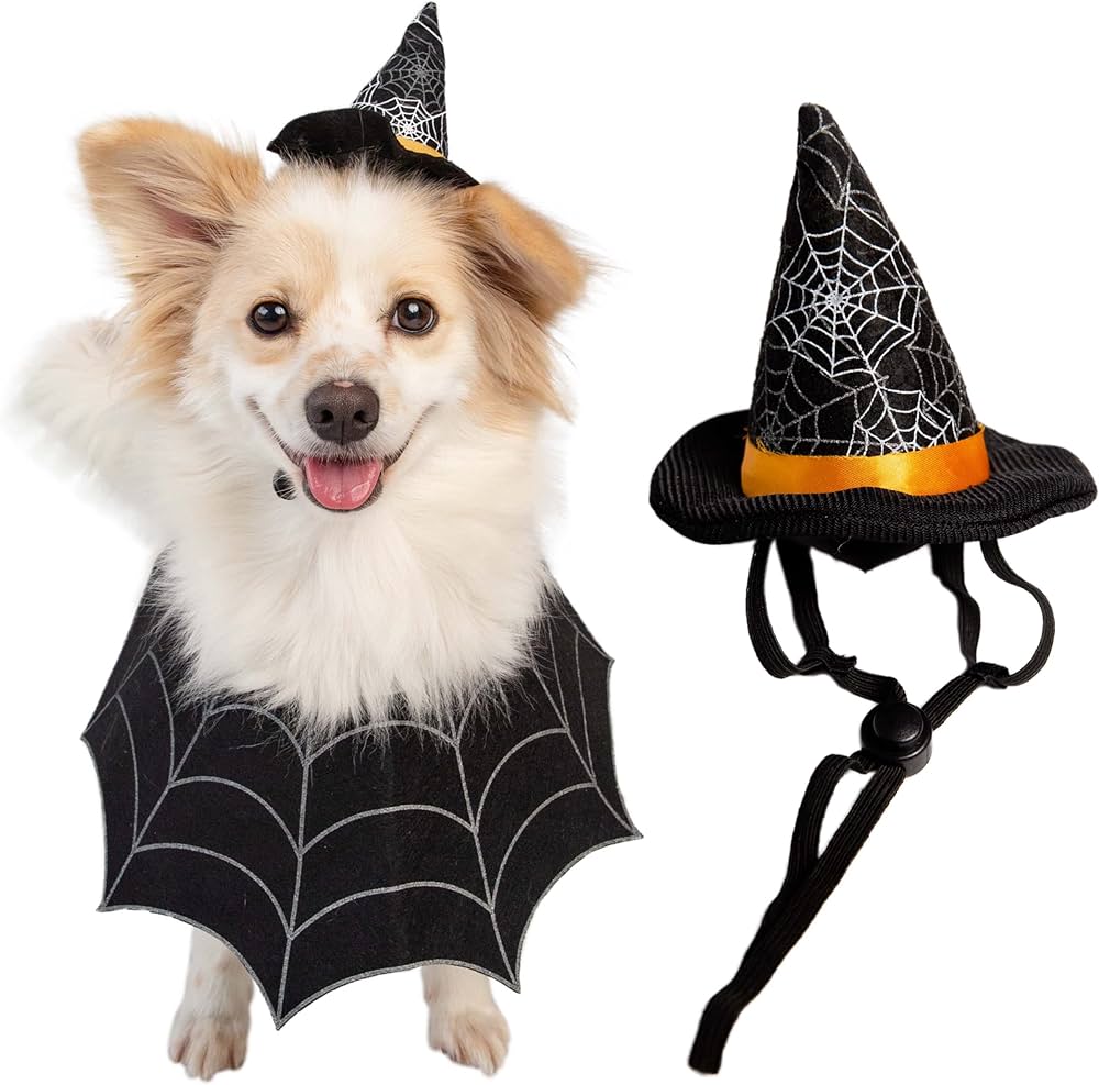 Pet Krewe Witch Dog & Cat Costume