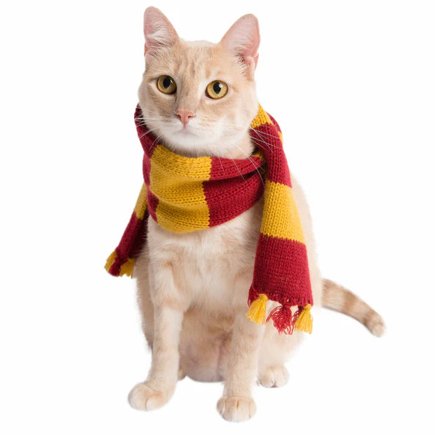 Pet Krewe Wizard Scarf Dog Costume