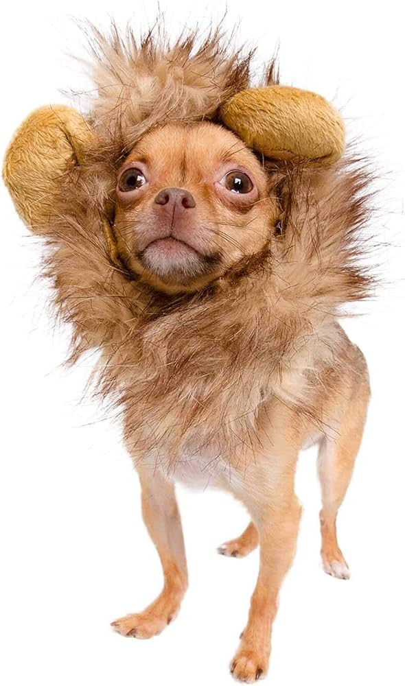 Pet Krewe Lion Mane Dog Costume Small