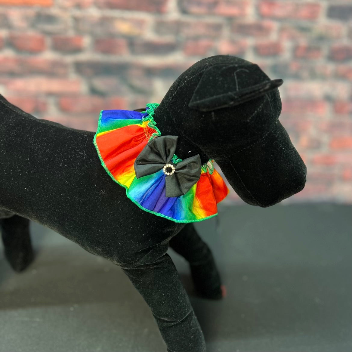 Rainbow Dog Neck Ruffle